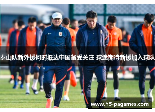 泰山队新外援何时抵达中国备受关注 球迷期待新援加入球队