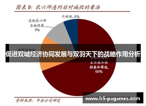 促进双城经济协同发展与双羽天下的战略作用分析