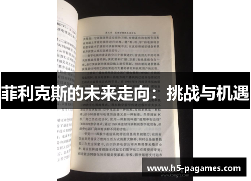 菲利克斯的未来走向:挑战与机遇 菲利克斯的未来走向:挑战与机遇