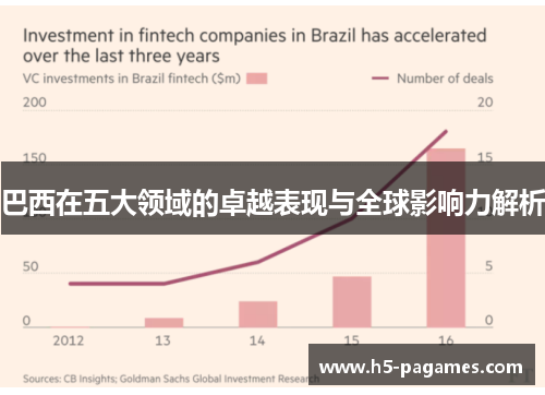 巴西在五大领域的卓越表现与全球影响力解析
