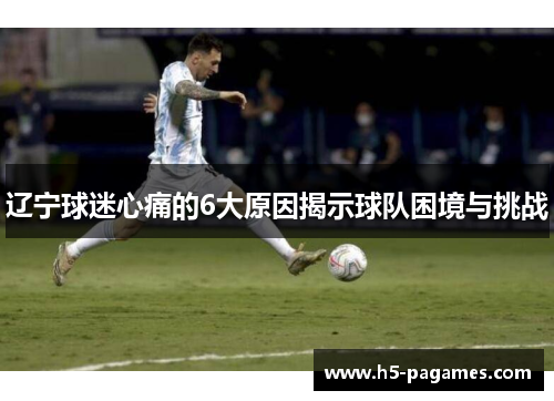 辽宁球迷心痛的6大原因揭示球队困境与挑战