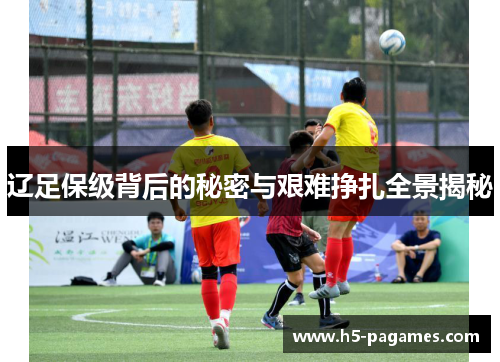 辽足保级背后的秘密与艰难挣扎全景揭秘