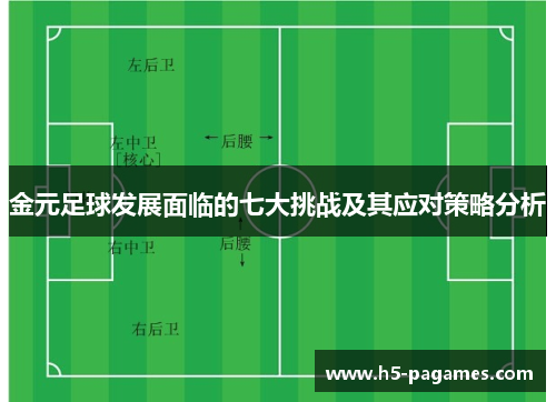 金元足球发展面临的七大挑战及其应对策略分析