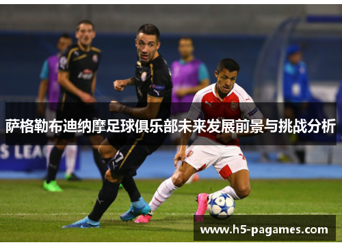 萨格勒布迪纳摩足球俱乐部未来发展前景与挑战分析