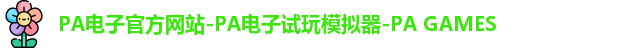 pa电子